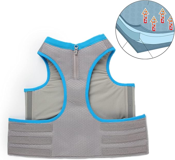 ALL FOR PAWS Dog Cooling Vest Breathable Instant Cooling Dogs Vest Lightweight for Summer Dog Clothes (XL)