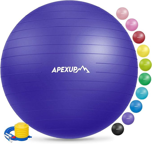 APEXUP Yoga Ball Exercise Ball