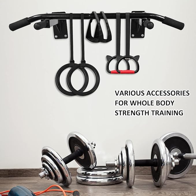 Wall Mounted Pull Up Bar