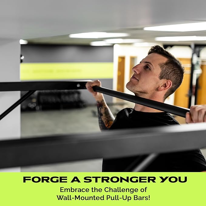 R2 Wall Mounted Pull Up Bar (500 lbs)