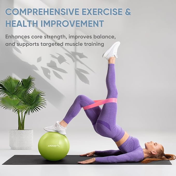 APEXUP Yoga Ball Exercise Ball
