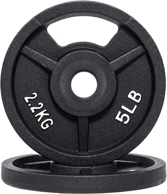 Signature Fitness Cast Iron Plate Weight Plate for Strength Training and Weightlifting, Olympic or Standard
