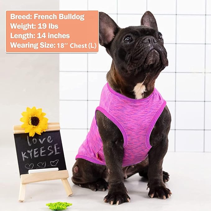 KYEESE 2 Pack Dog Shirts Quick Dry Soft Stretchy Pet T-Shirts with Reflective Label Tank Top Sleeveless Sun Protection Vest Dog Clothes for Small Medium Dogs, Medium, Purple+Pink