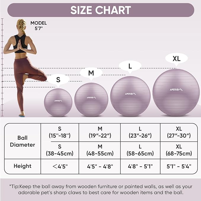 APEXUP Yoga Ball Exercise Ball