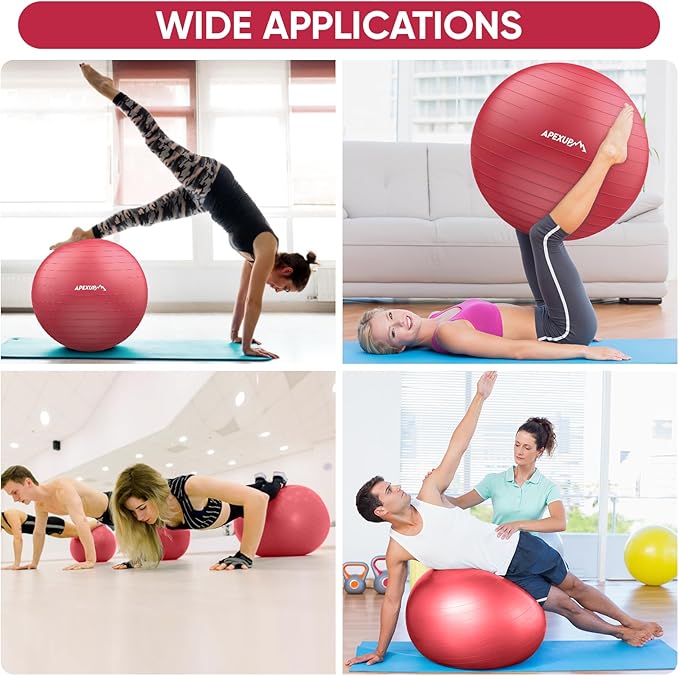 APEXUP Yoga Ball Exercise Ball