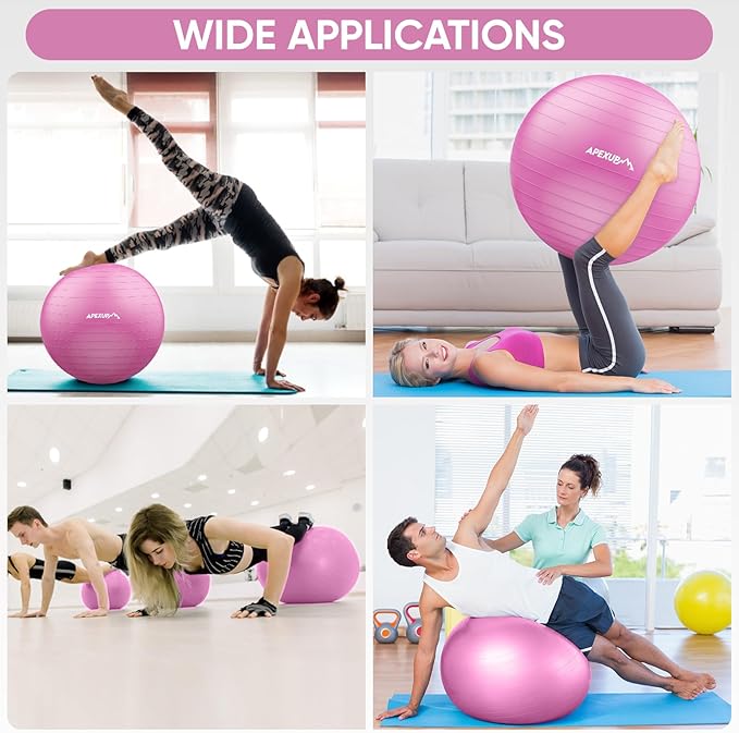 APEXUP Yoga Ball Exercise Ball