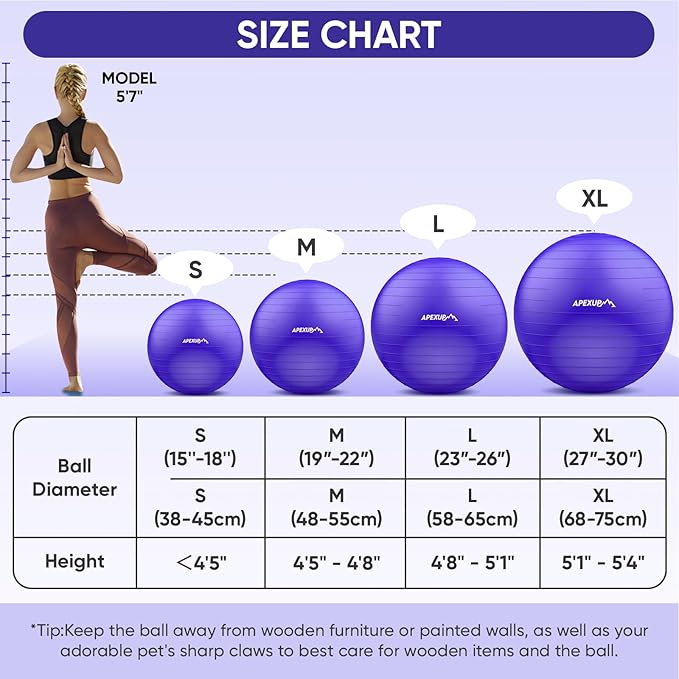 APEXUP Yoga Ball Exercise Ball