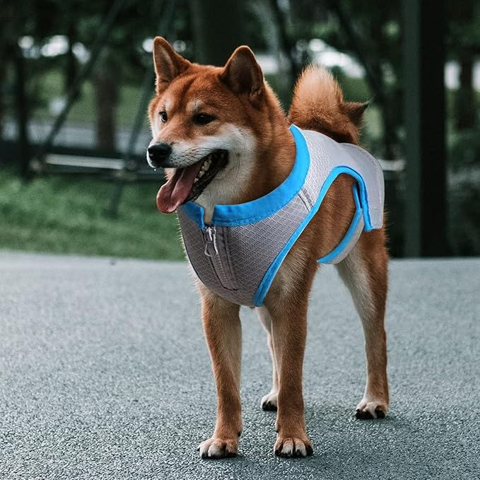 ALL FOR PAWS Cooling Vest Dog Cooling Shirts Breathable Instant Cooling Dogs Vest Lightweight for Summer Dog Clothes (L)