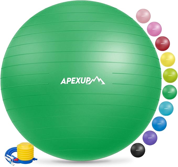 APEXUP Yoga Ball Exercise Ball