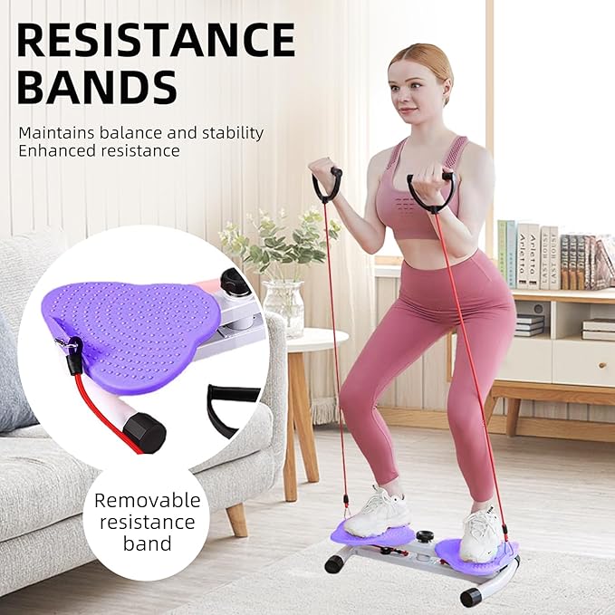Exercise Twist Boards