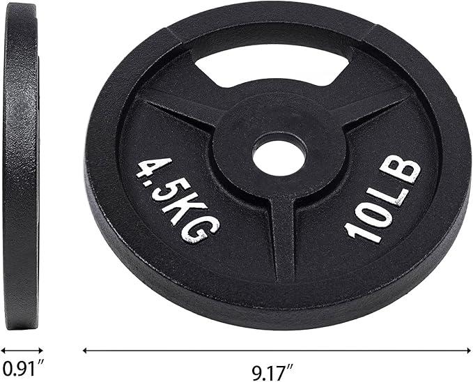 Signature Fitness Cast Iron Plate Weight Plate for Strength Training and Weightlifting, Olympic or Standard