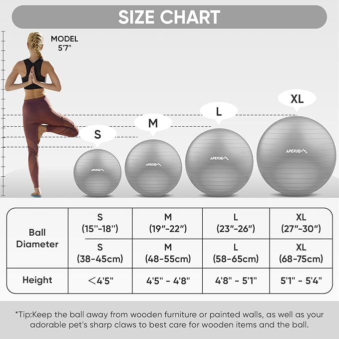 APEXUP Yoga Ball Exercise Ball