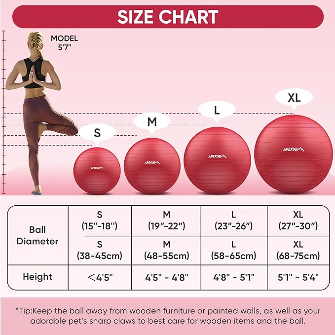APEXUP Yoga Ball Exercise Ball
