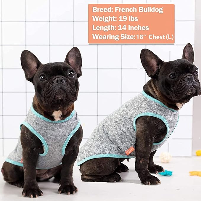 KYEESE 2 Pack Dog Shirts Quick Dry Soft Stretchy Pet T-Shirts with Reflective Label Tank Top Sleeveless Vest Sun Protection Dog Clothes for Small Medium Dogs, Medium, Grey+Blue