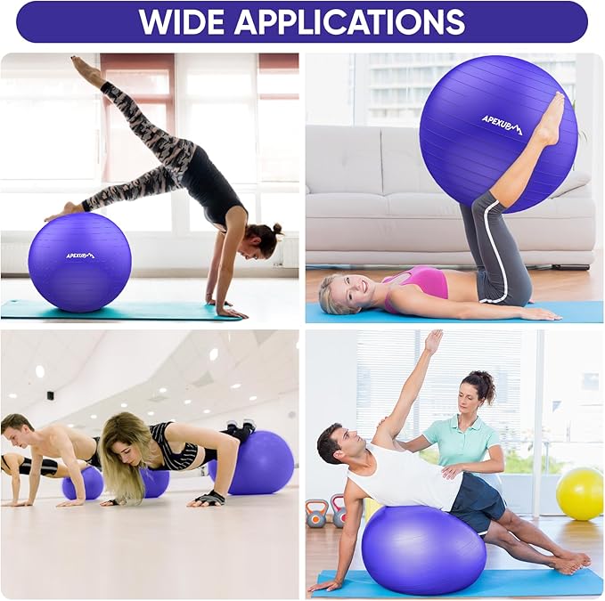 APEXUP Yoga Ball Exercise Ball