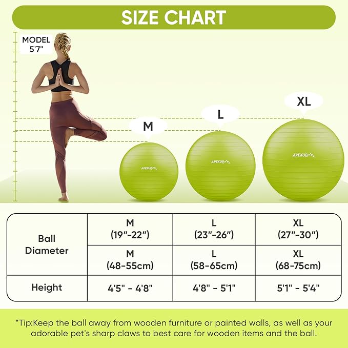 APEXUP Yoga Ball Exercise Ball