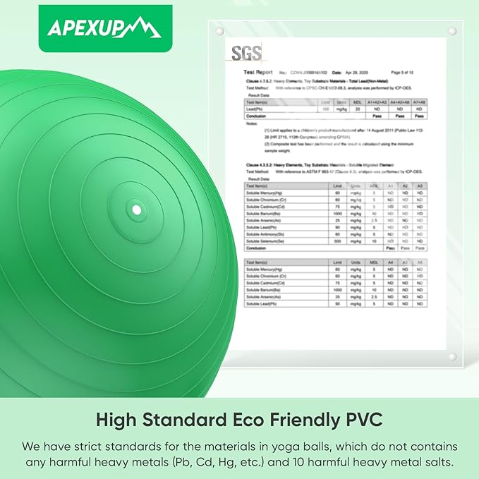 APEXUP Yoga Ball Exercise Ball