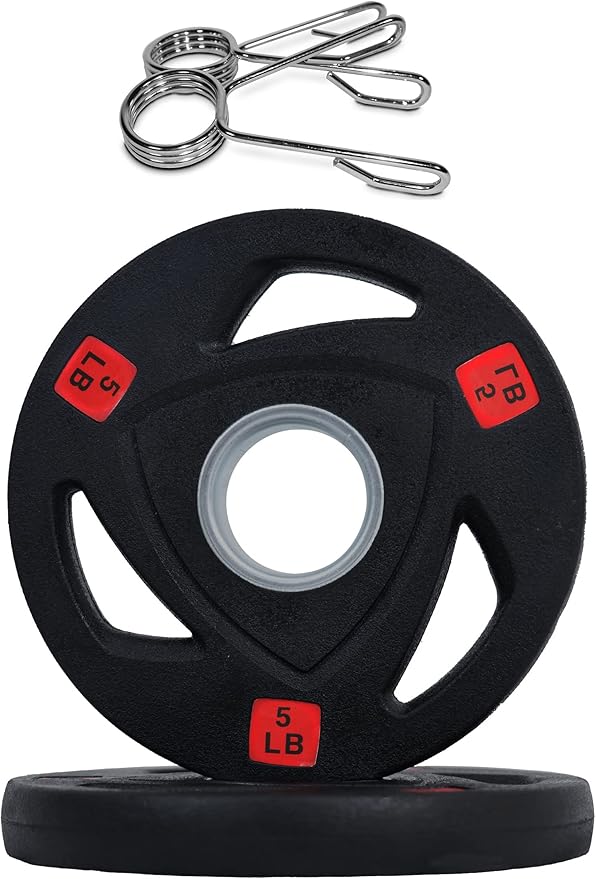 Signature Fitness Olympic 2-Inch Cast Iron Plate Weight