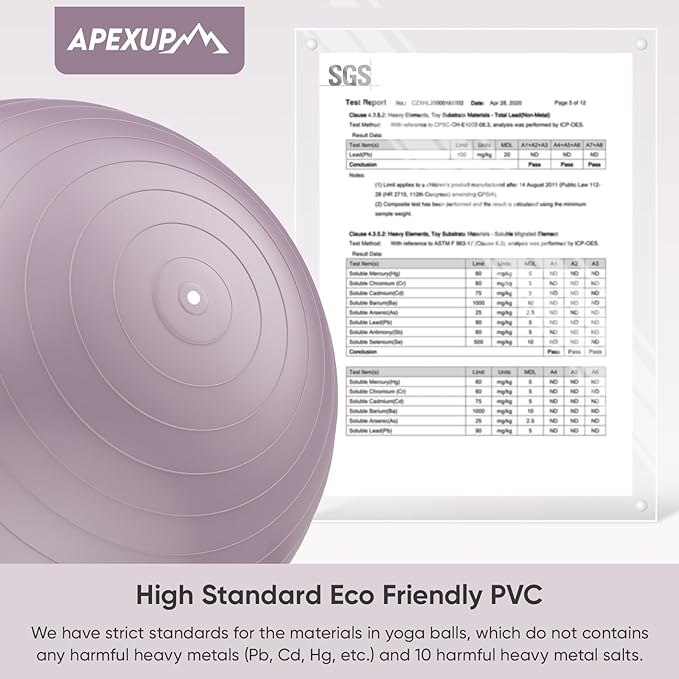 APEXUP Yoga Ball Exercise Ball