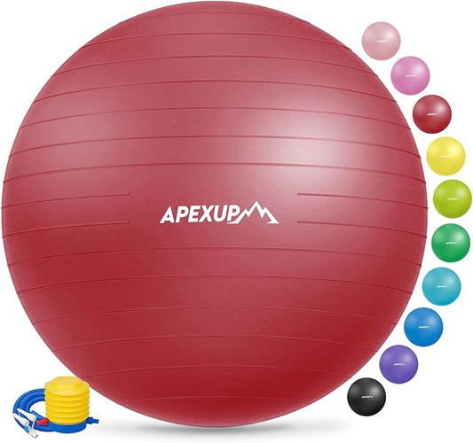 APEXUP Yoga Ball Exercise Ball