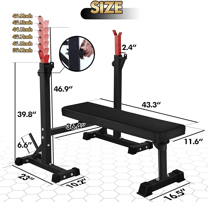 Bench Press, CANPA Olympic Weight Bench with Squat