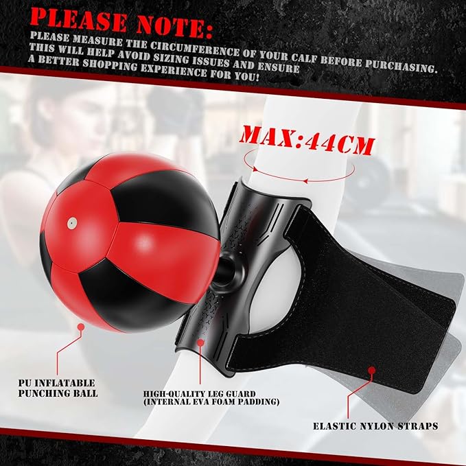 Sit Up Boxing Balls, Speed Punching Bag, Solid Ab and Arm Workout Equipment for Your Home, More Exercise Fun Than an Ab Machine or Ab Roller, Get Abdominal Gym Equipment Right in Your Home (2 Pack)