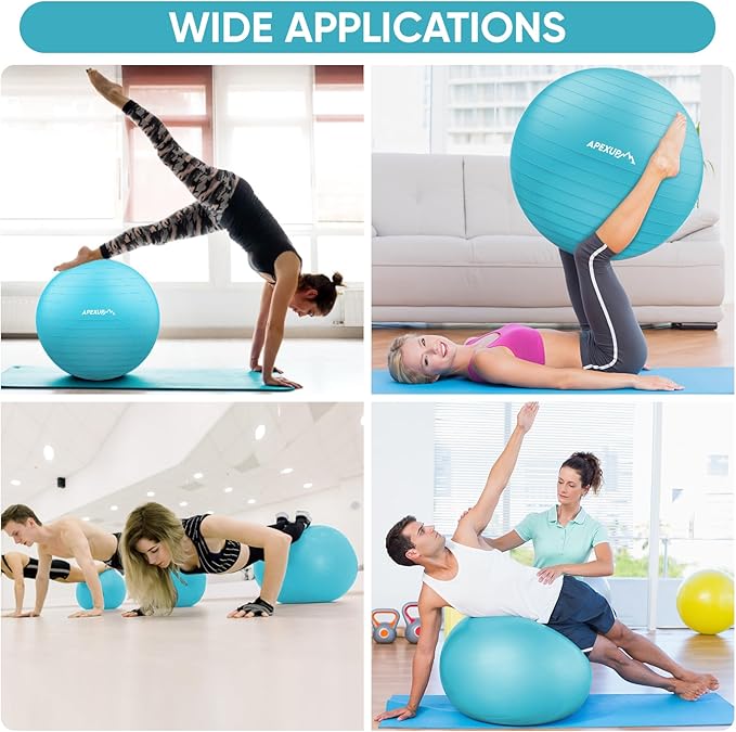 APEXUP Yoga Ball Exercise Ball