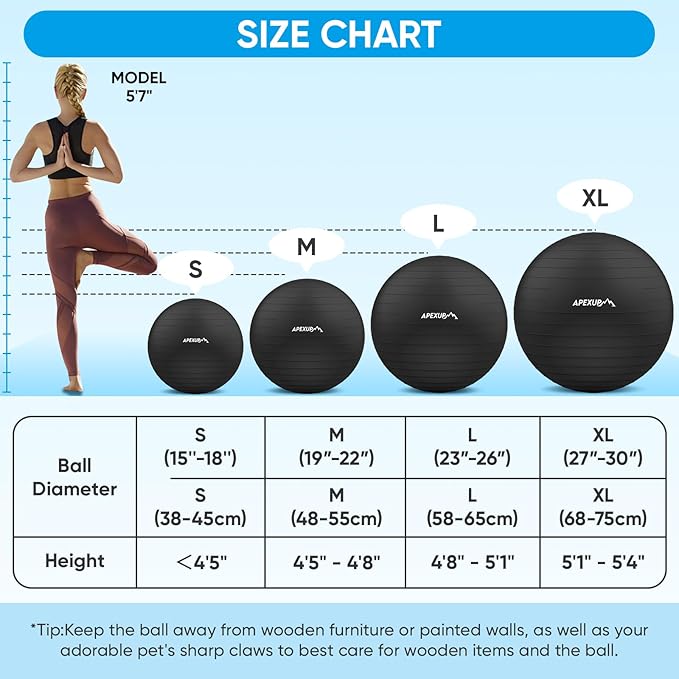 APEXUP Yoga Ball Exercise Ball