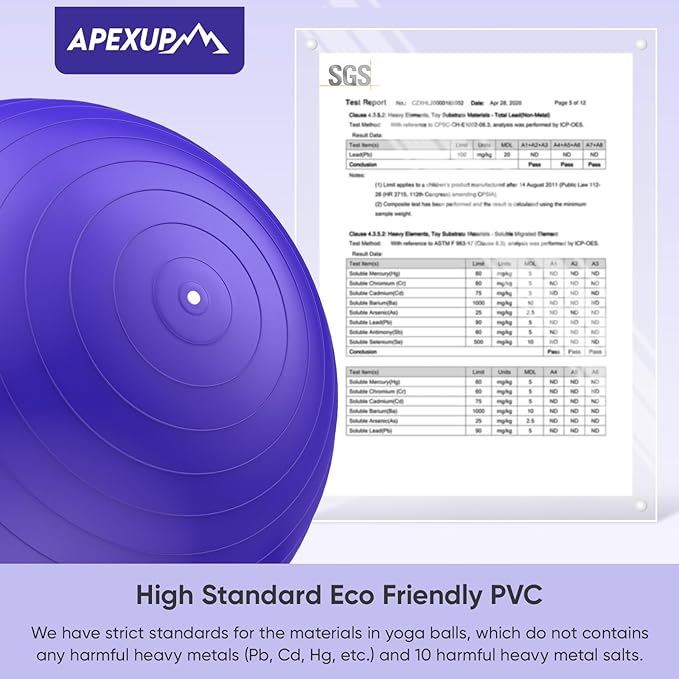 APEXUP Yoga Ball Exercise Ball