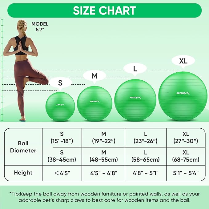 APEXUP Yoga Ball Exercise Ball