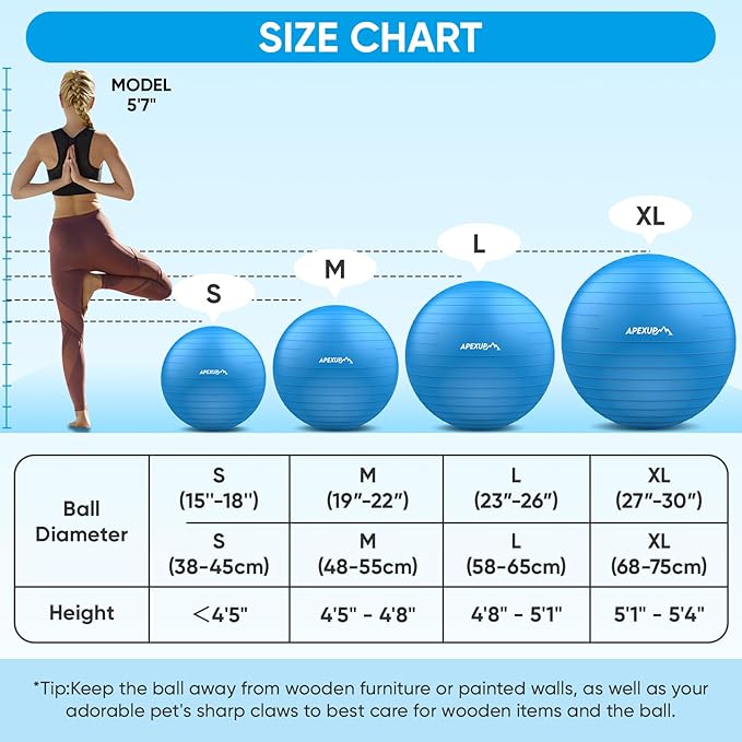 APEXUP Yoga Ball Exercise Ball
