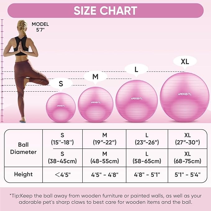 APEXUP Yoga Ball Exercise Ball