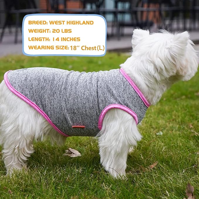 KYEESE 2 Pack Dog Shirts Quick Dry Soft Stretchy Dog T-Shirts with Reflective Label Sun Protection Tank Top Sleeveless Vest Pet Clothes for Small Medium Dogs, Medium, Grey+Hotpink