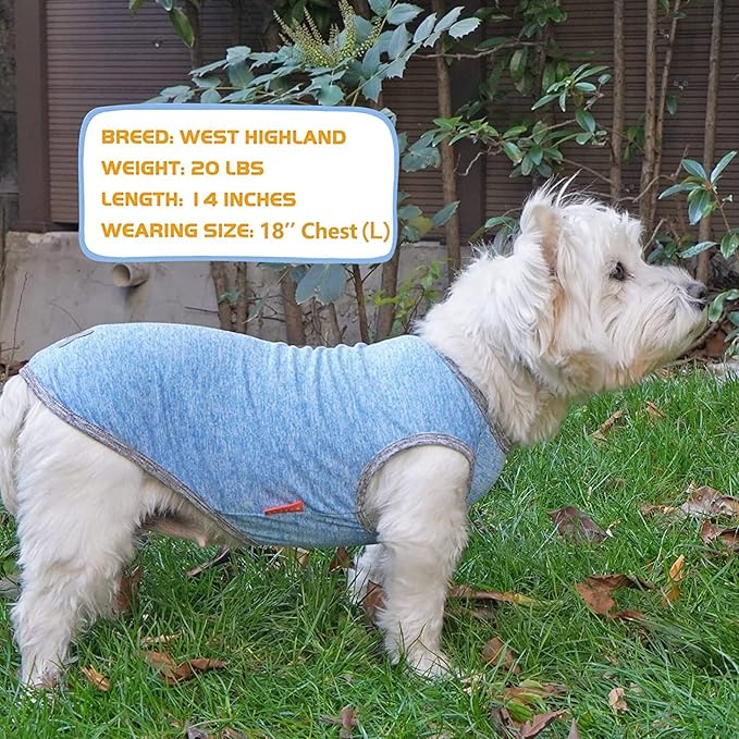 KYEESE 2 Pack Dog Shirts Quick Dry Soft Stretchy Pet T-Shirts with Reflective Label Tank Top Sleeveless Vest Sun Protection Dog Clothes for Small Dogs, Medium, Light Blue+Grey