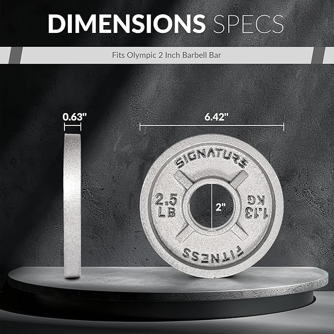 Deep Dish 2-Inch Olympic Cast Iron Weight Plates with E-Coating