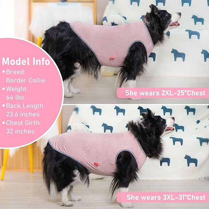 KYEESE 2Pack Dog Shirts Sun Protection Quick Dry Dog T Shirt Soft Tank Top with Reflective Label Stretchy Sleeveless Pet Vest Lightweight Pet Clothes, XXX-Large