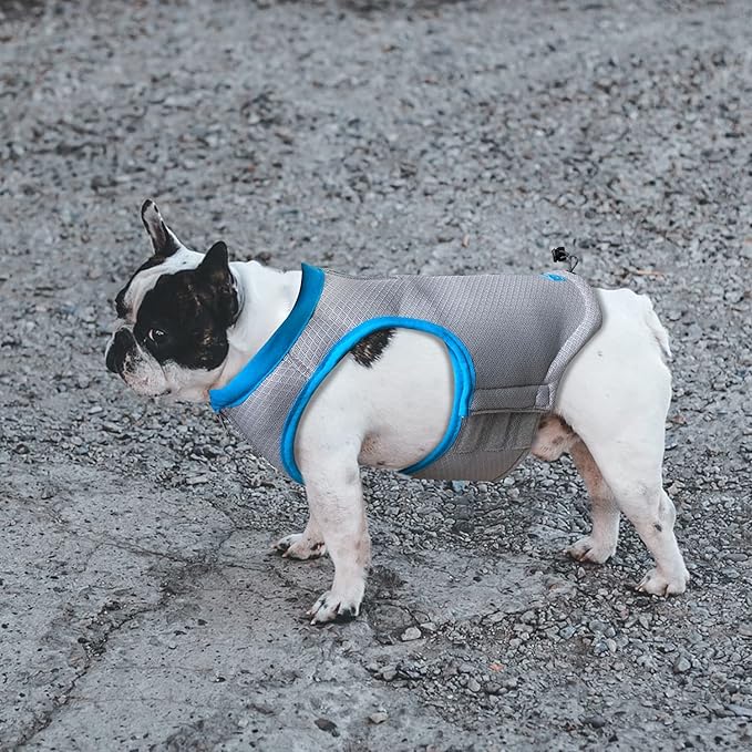 ALL FOR PAWS Cooling Vest Dog Cooling Shirts Breathable Instant Cooling Dogs Vest Lightweight for Summer Dog Clothes (L)