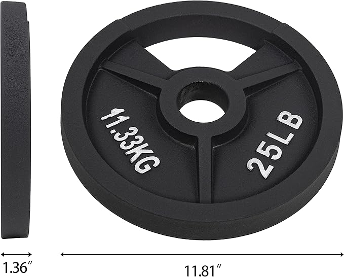 Signature Fitness Olympic 2-Inch Cast Iron Plate Weight