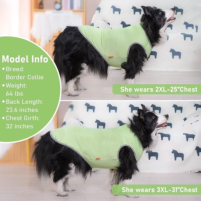 KYEESE 2Pack Dog Shirts with Reflective Label Sun Protection Quick Dry Dog T Shirt Soft Tank Top Stretchy Sleeveless Pet Vest Lightweight Pet Clothes, XX-Large