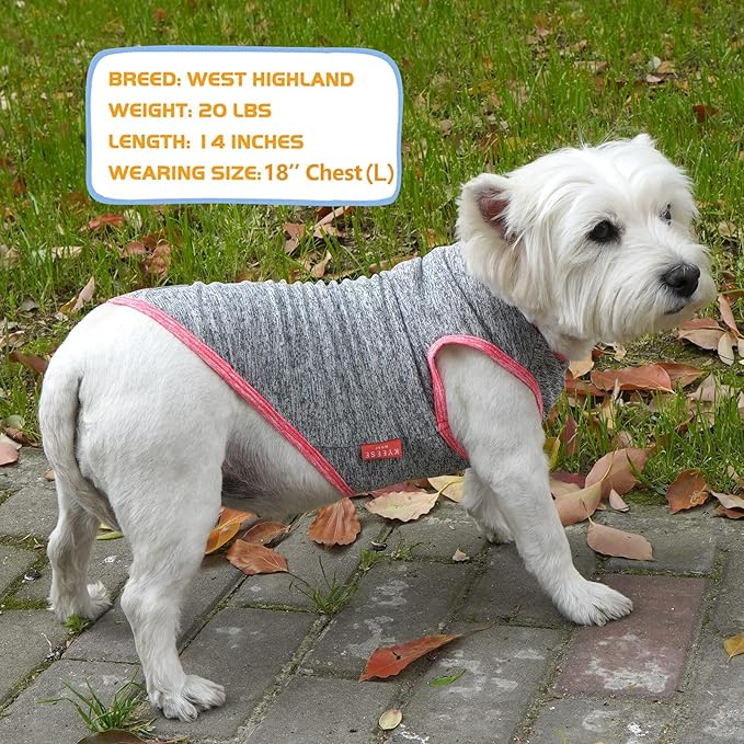 KYEESE 2 Pack Dog Shirts Quick Dry Soft Stretchy Dog T-Shirts with Reflective Label Tank Top Sleeveless Vest Sun Protection Pet Clothes for Medium Dogs, Coral Red+Grey, 2XL