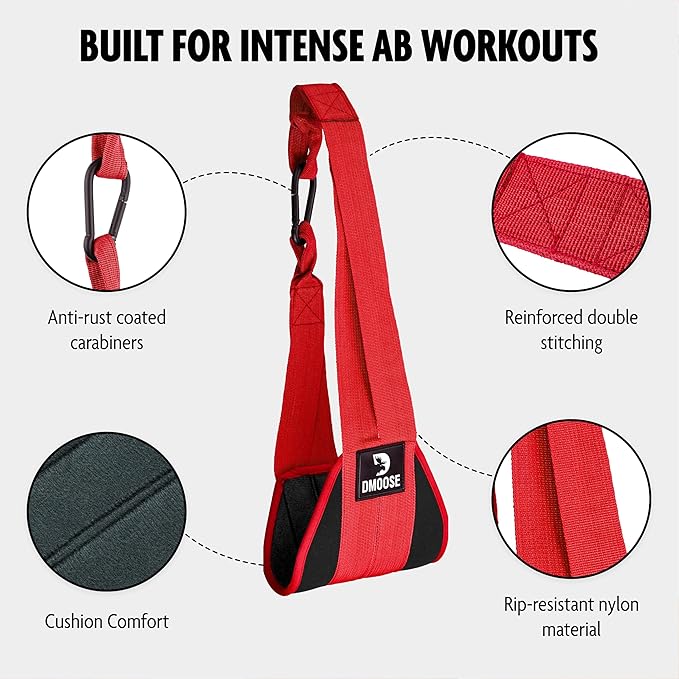 DMoose Fitness Hanging Ab Straps for Pull Up 2 Rust-Resistant