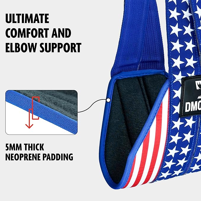 DMoose Fitness Hanging Ab Straps for Pull Up 2 Rust-Resistant