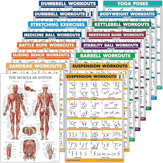 16 Pack - Exercise Workout Poster Set: Dumbbell , Suspension , Kettlebell , Bands , Medicine Ball , Battle Rope , Stretching , Bodyweight , Barbell , Yoga , Exercise Ball (PAPER - NOT LAMINATED , 18" x 24" )
