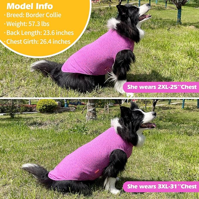 KYEESE 2 Pack Dog Shirts for Large Dogs Quick Dry Breathable Stretchy Sun Protection Pet T-Shirts with Reflective Label Tank Top Sleeveless Vest Dog Clothes, Purple+Pink, 3XL