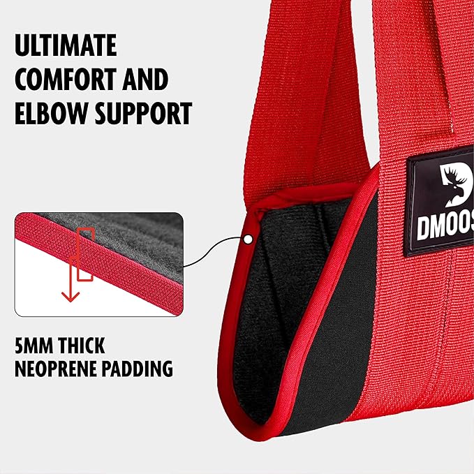 DMoose Fitness Hanging Ab Straps for Pull Up 2 Rust-Resistant
