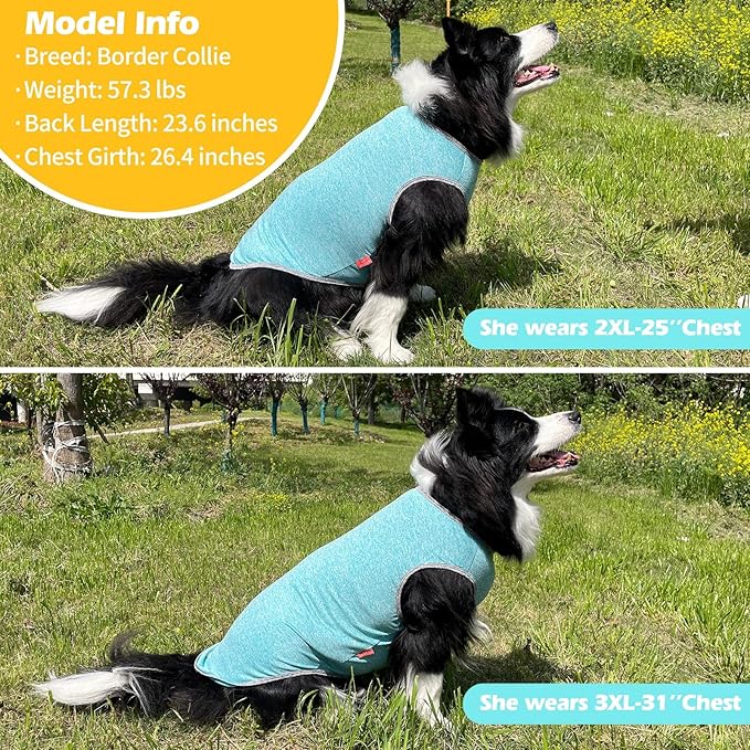 KYEESE 2 Pack Dog Shirts Quick Dry Soft Stretchy Sun Protection Pet T-Shirts with Reflective Label Tank Top Sleeveless Vest Dog Clothes for Small Medium Dogs, XX-Large, Grey+Blue