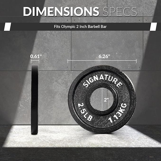 Deep Dish 2-Inch Olympic Cast Iron Weight Plates with E-Coating