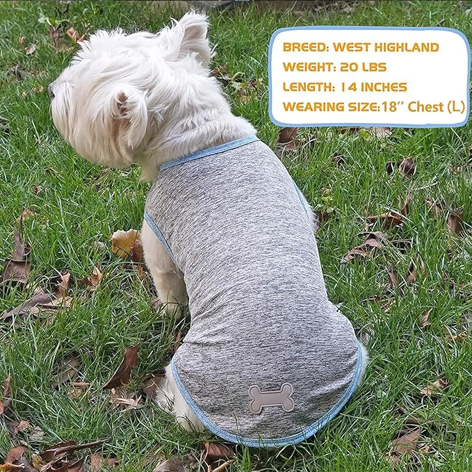 KYEESE 2 Pack Dog Shirts Quick Dry Soft Stretchy Pet T-Shirts with Reflective Label Tank Top Sleeveless Vest Sun Protection Dog Clothes for Small Dogs, Medium, Light Blue+Grey